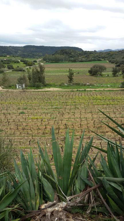Agriturismo Su Solianu Bari Sardo Eksteriør billede