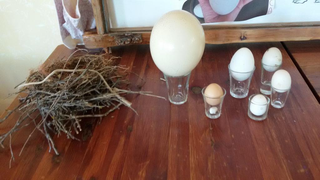Agriturismo Su Solianu Bari Sardo Eksteriør billede